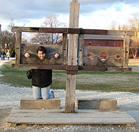 Janis in the Stocks